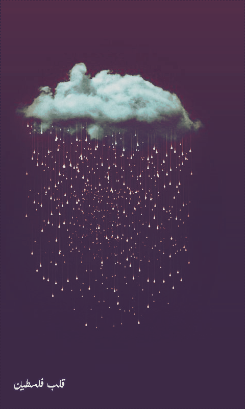 ���� ���� ������ �� ���� ������