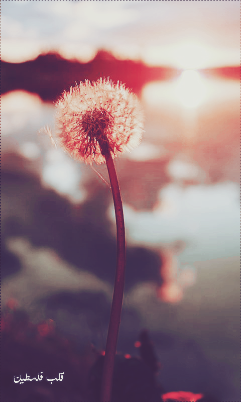 ���� ���� ������ �� ���� ������