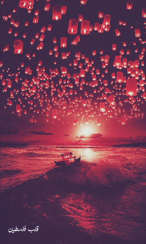 ���� ���� ������ �� ���� ������