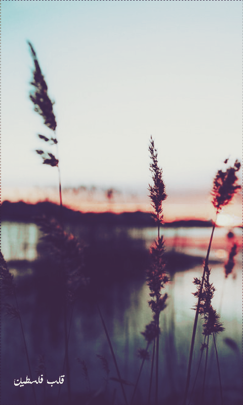 ���� ���� ������ �� ���� ������