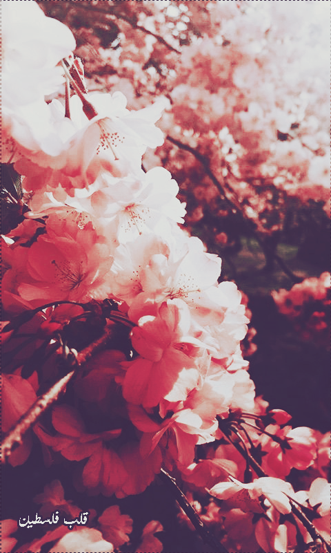 ���� ���� ������ �� ���� ������