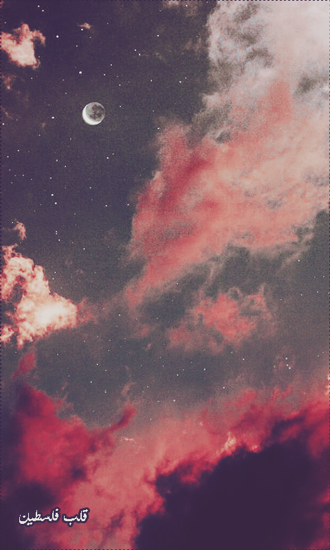 ���� ���� ������ �� ���� ������