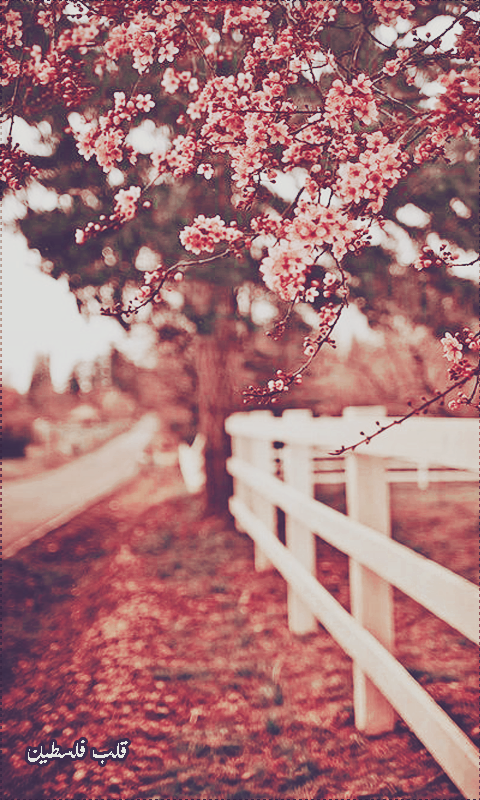 ���� ���� ������ �� ���� ������