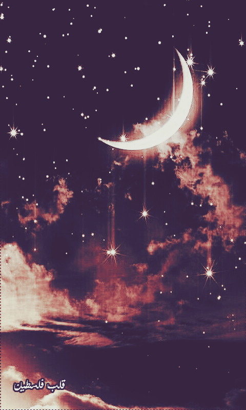 ���� ���� ������ �� ���� ������