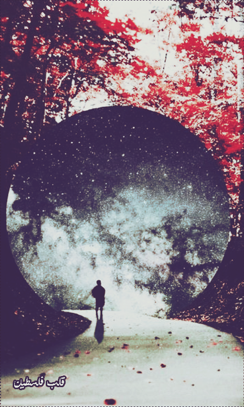 ���� ���� ������ �� ���� ������