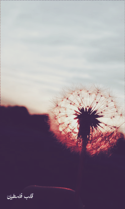 ���� ���� ������ �� ���� ������