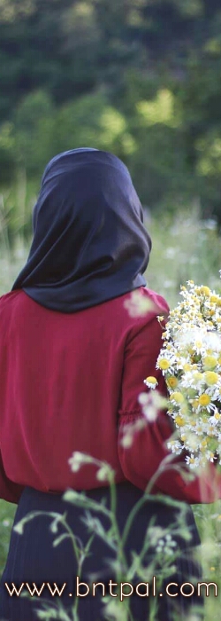 💛! bntpal.com_153327923