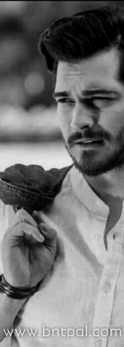 💛! bntpal.com_153328210