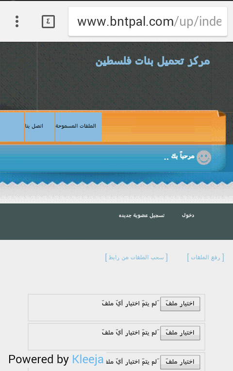 bntpal.com_153329448