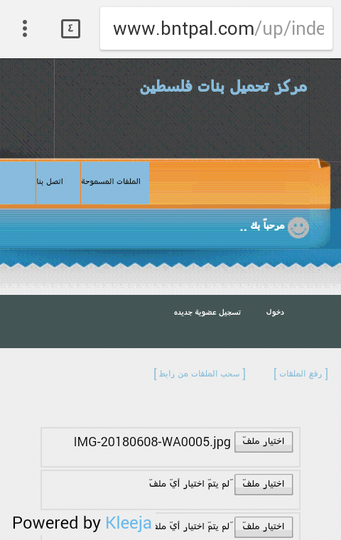 bntpal.com_153329555