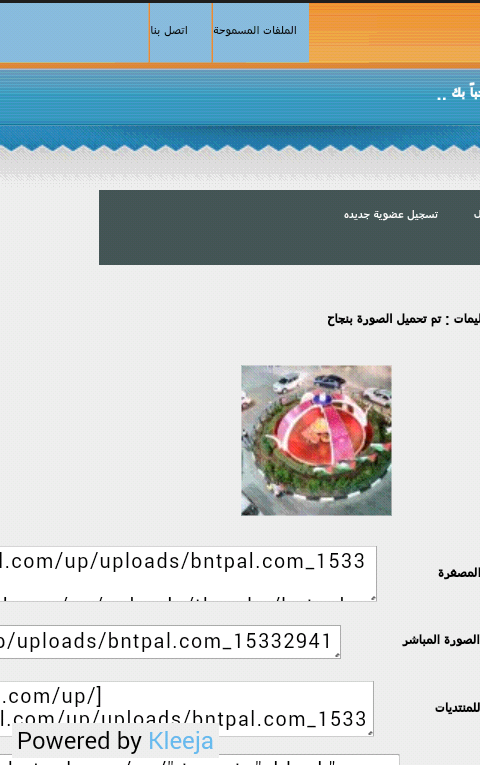 bntpal.com_153329658