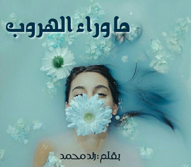 bntpal.com_153348183