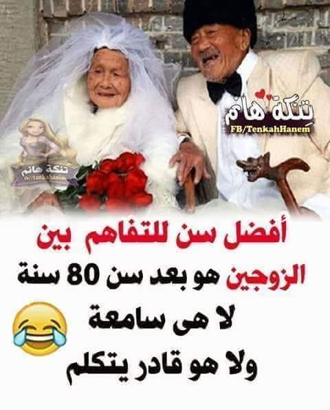 bntpal.com_153370504
