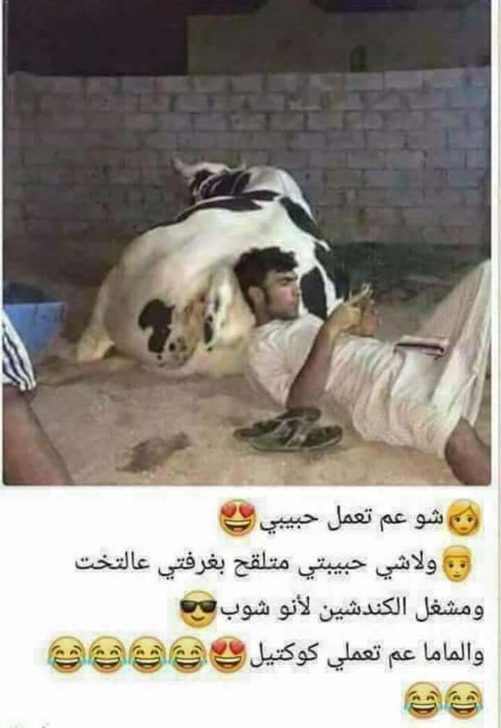 bntpal.com_153370511