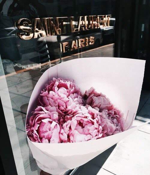 "  ". 🌸🌿 bntpal.com_153406655