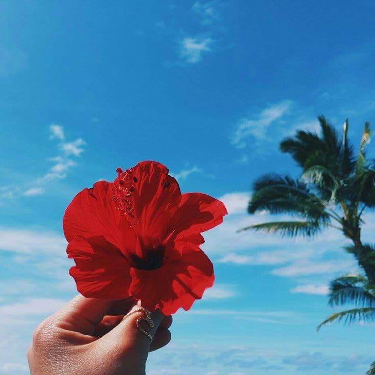 "  ". 🌸🌿 bntpal.com_153406655