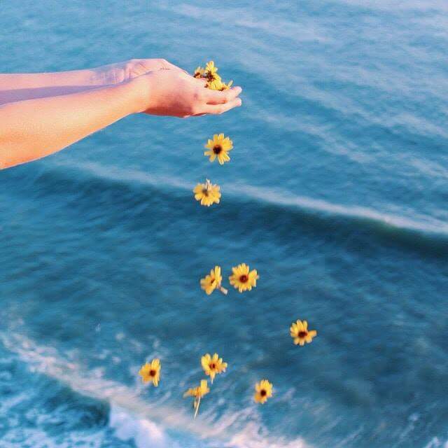 "  ". 🌸🌿 bntpal.com_153406655