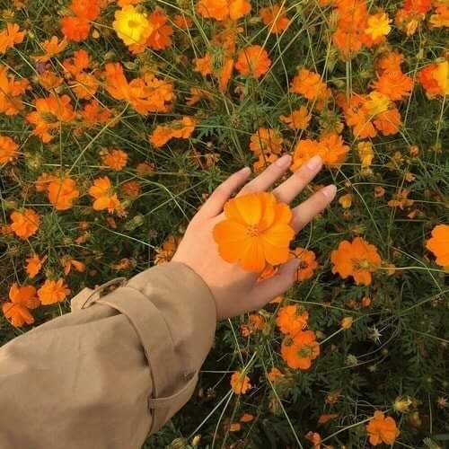 "  ". 🌸🌿 bntpal.com_153406655