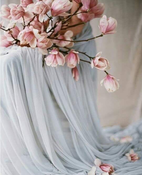 "  ". 🌸🌿 bntpal.com_153406655