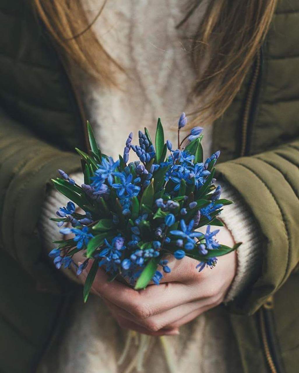 "  ". 🌸🌿 bntpal.com_153406655