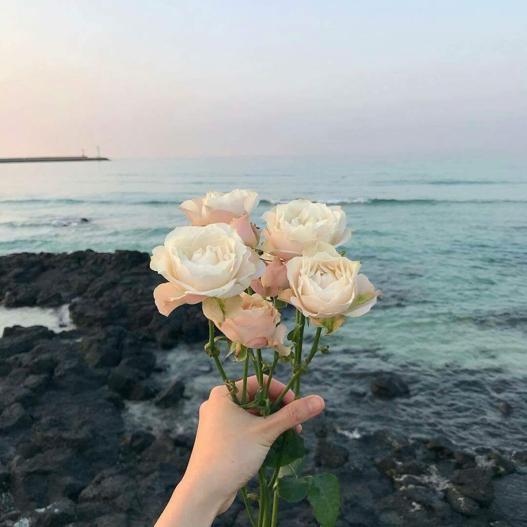 "  ". 🌸🌿 bntpal.com_153406655