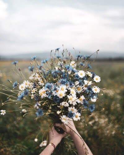 "  ". 🌸🌿 bntpal.com_153406655
