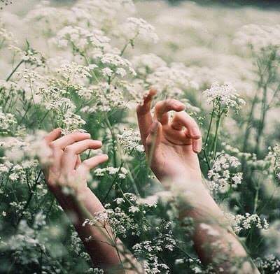"  ". 🌸🌿 bntpal.com_153406655