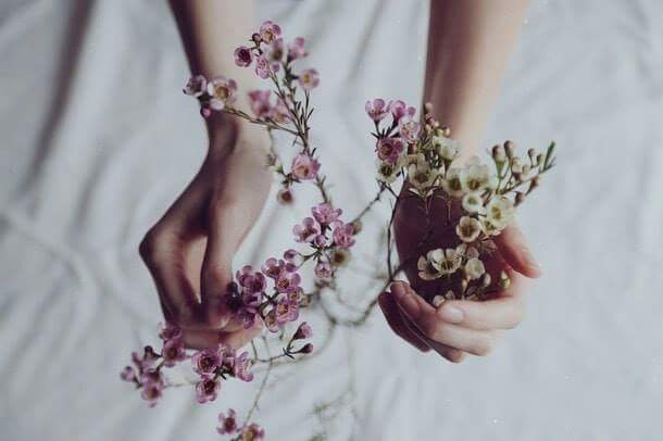 "  ". 🌸🌿 bntpal.com_153406655