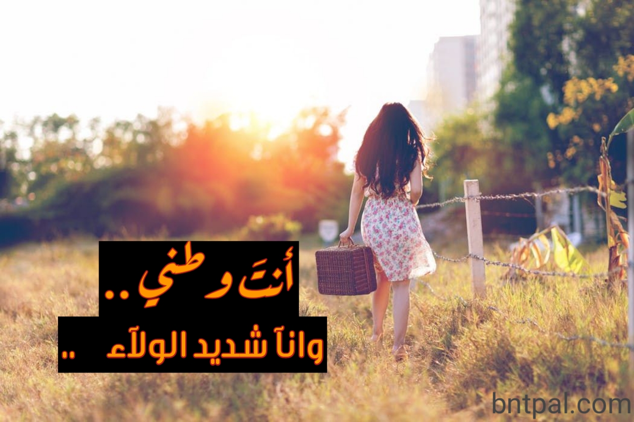 🌸 bntpal.com_153433463
