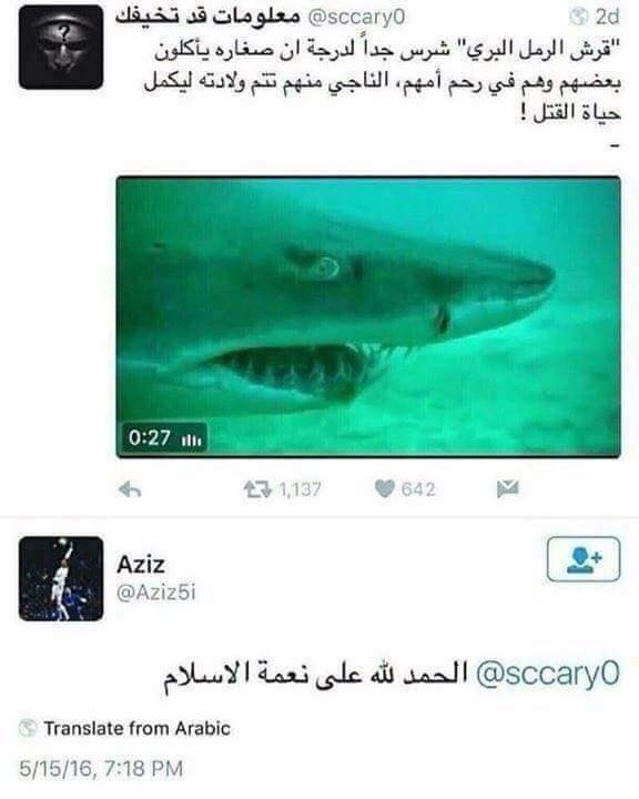 😂😂💕 bntpal.com_153469887