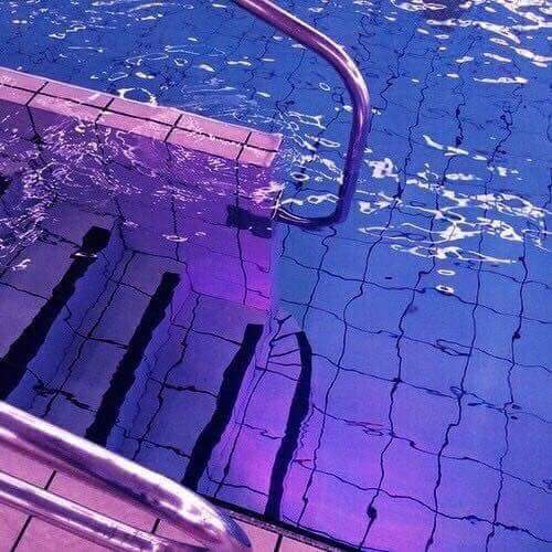 💛 bntpal.com_153591132
