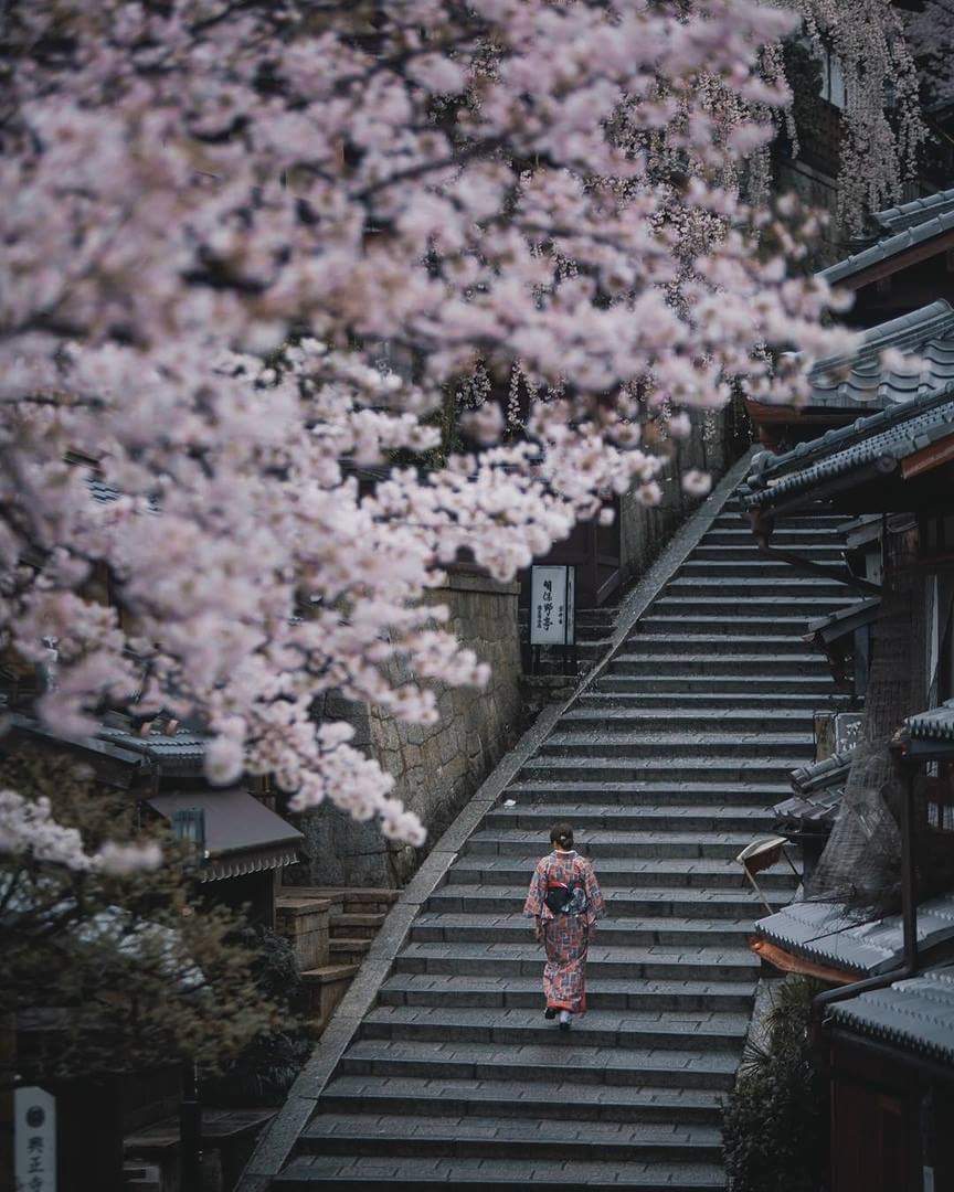 Japan 🌸💕 bntpal.com_153591185