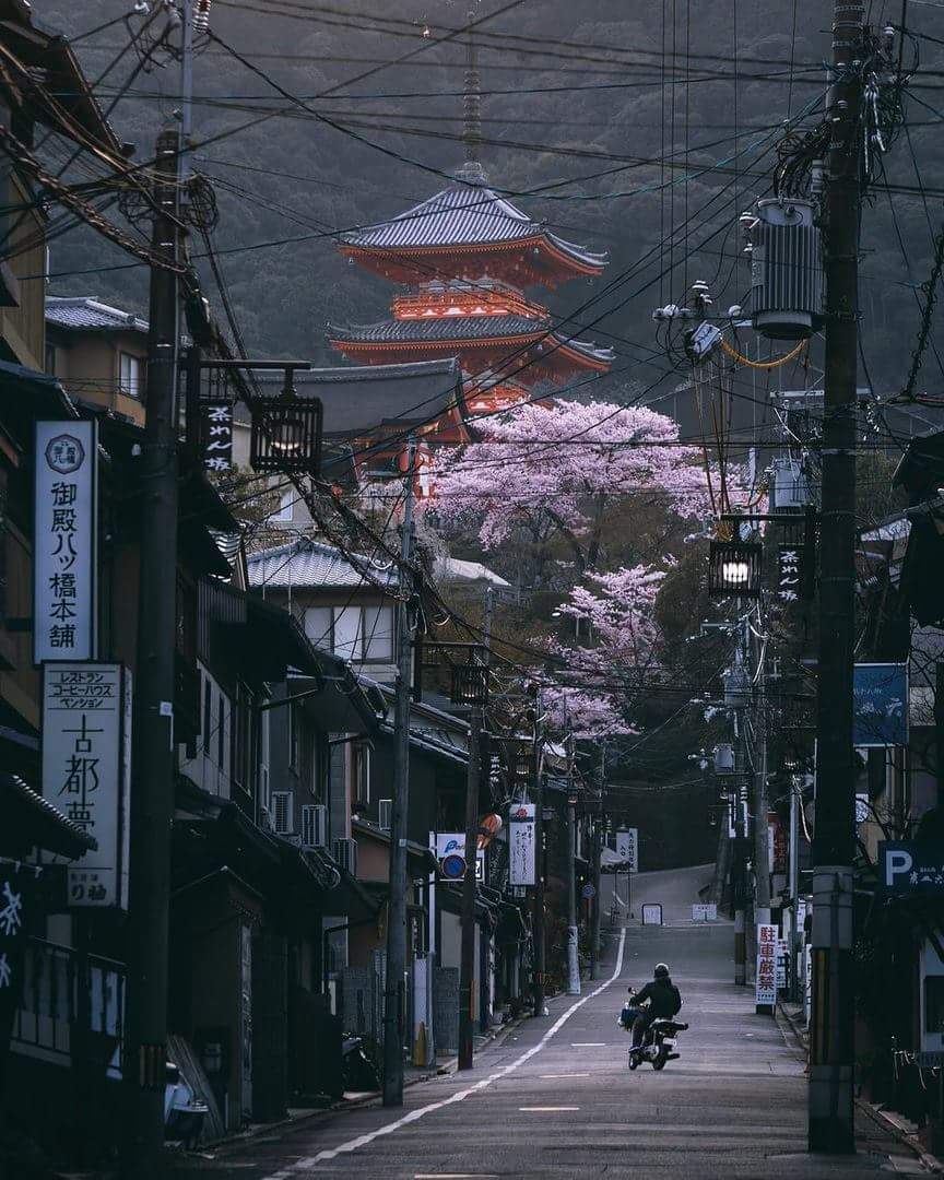 Japan 🌸💕 bntpal.com_153591185