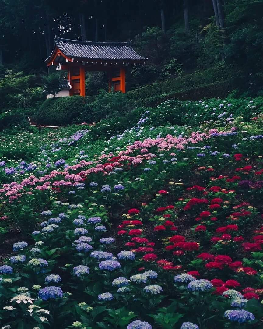 Japan 🌸💕 bntpal.com_153591185