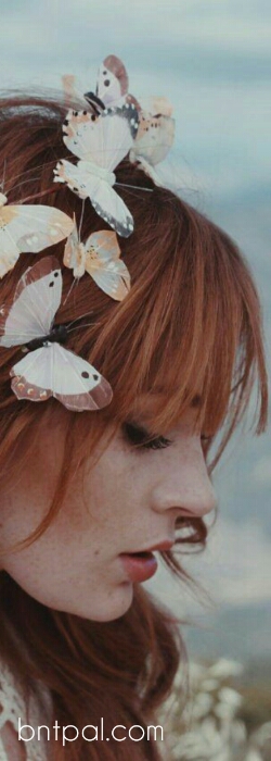  💕 bntpal.com_153607580