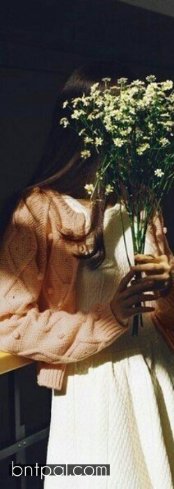  💕 bntpal.com_153607581