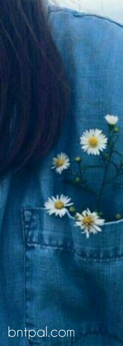  💕 bntpal.com_153607581
