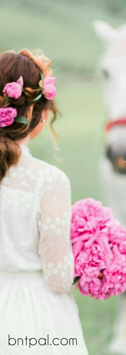  💕 bntpal.com_153607652
