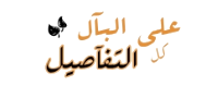 🌼 bntpal.com_153623297