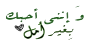 🌼 bntpal.com_153623423