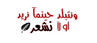 🌼 bntpal.com_153623432