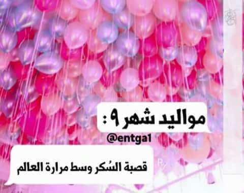 bntpal.com_153630319