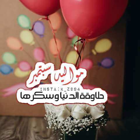 bntpal.com_153630333