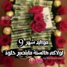bntpal.com_153630353