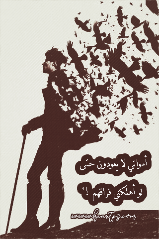 ���� ���� ������ �� ���� ������