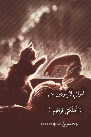 ���� ���� ������ �� ���� ������