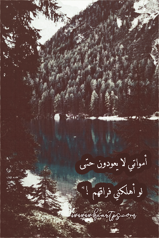 ���� ���� ������ �� ���� ������