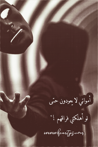 ���� ���� ������ �� ���� ������