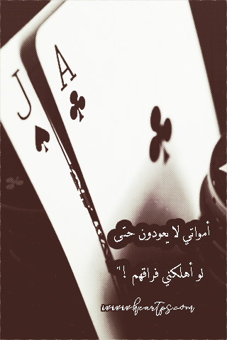 ���� ���� ������ �� ���� ������