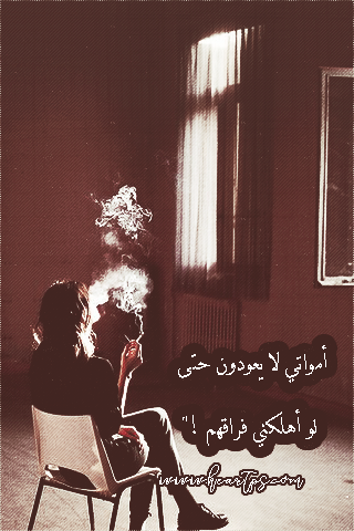 ���� ���� ������ �� ���� ������